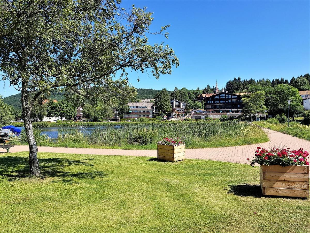 Grossdorf Ferienwohnung Waldsuite Im Harz Гослар Экстерьер фото