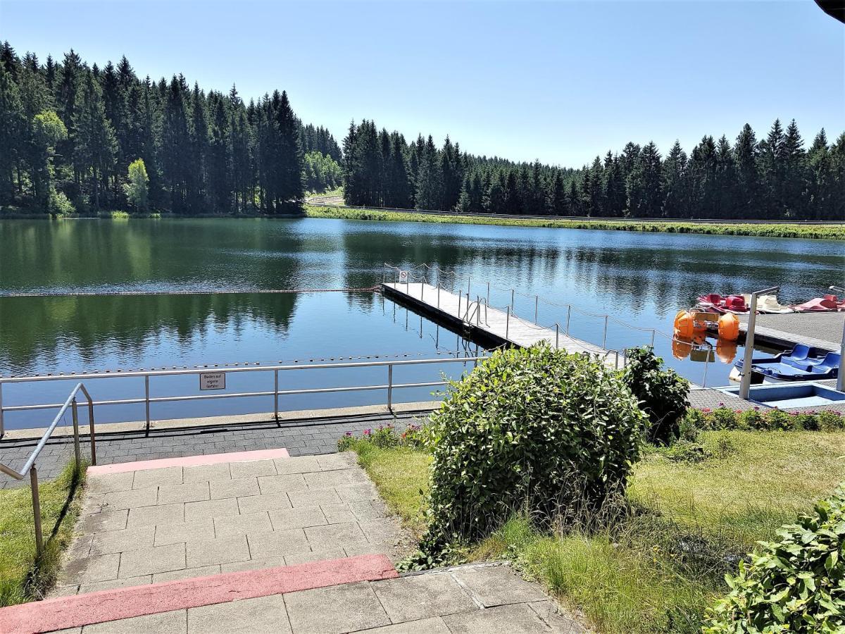 Grossdorf Ferienwohnung Waldsuite Im Harz Гослар Экстерьер фото